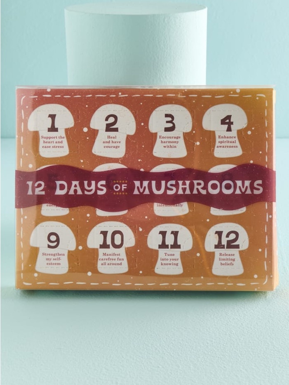 Earthbound 12 Days of Mushrooms
Gift Set, NWT 🍄‍🟫 🗓️